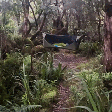 Load image into Gallery viewer, The Paradise™ Hammock Tent
